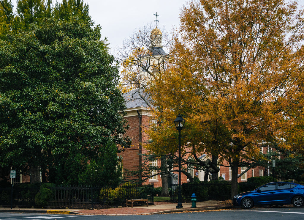The Talbot County Courthouse and autumn color, in Easton, Maryland