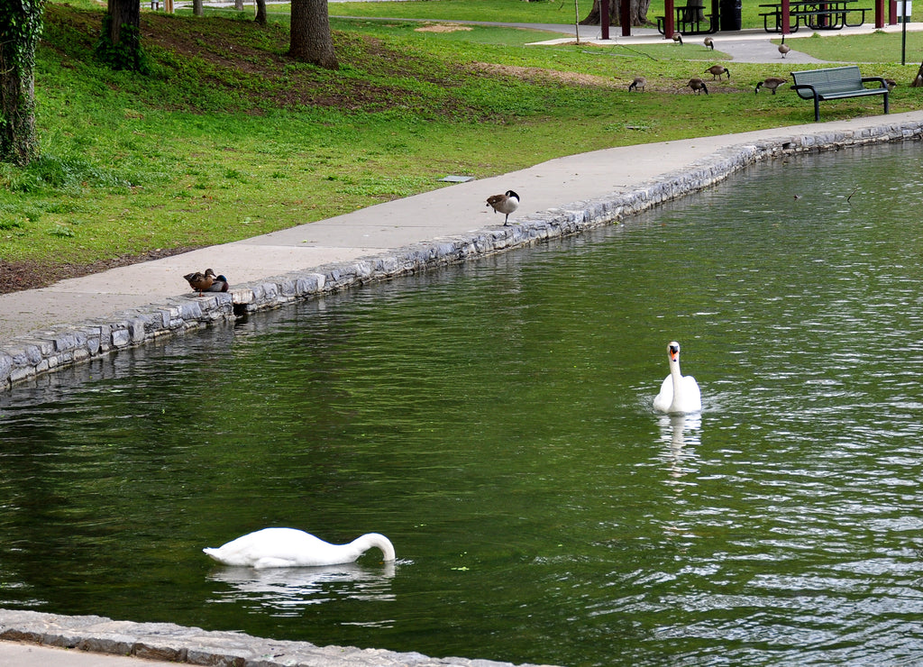 Hagerstown City Park, Hagerstown, Maryland