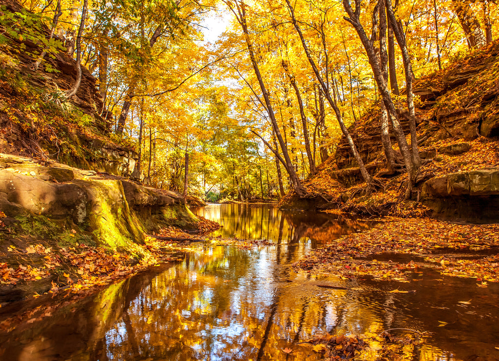 Skillet Creek, Wisconsin