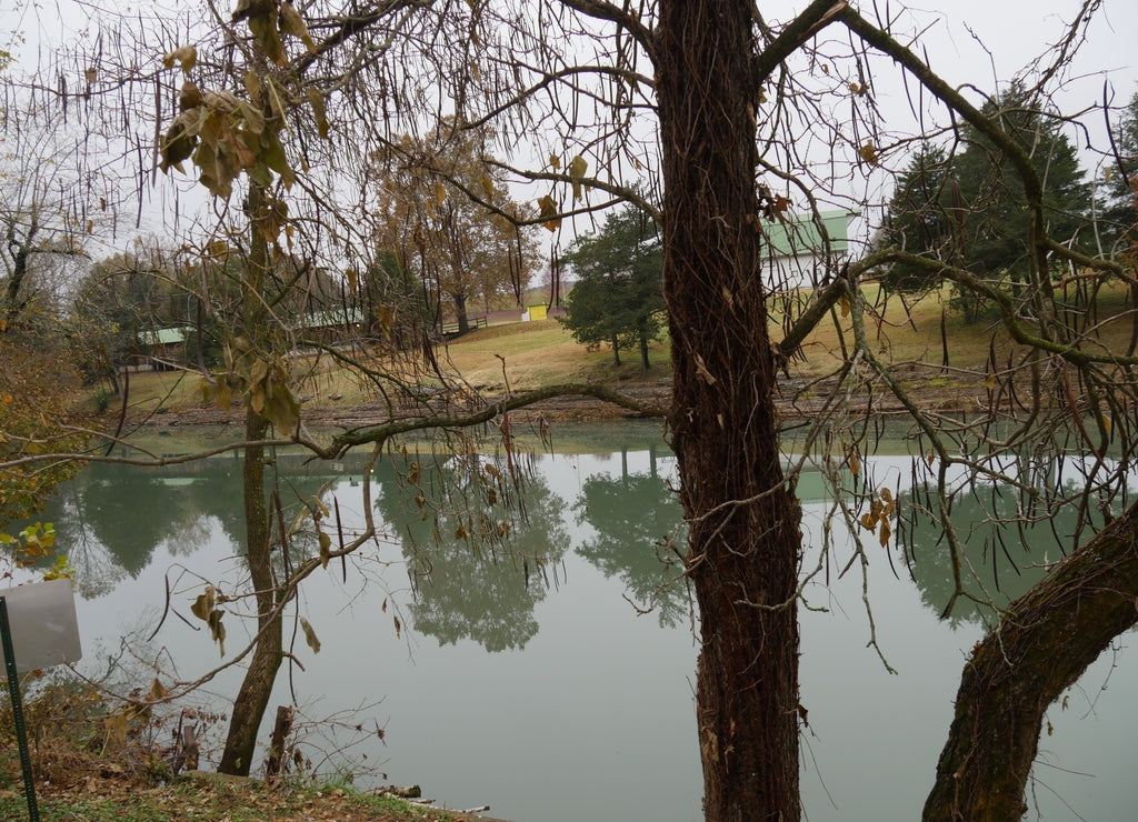 Trees refllected in the calm waters of War Eagle river in autumn at Benton County, Arkansas
