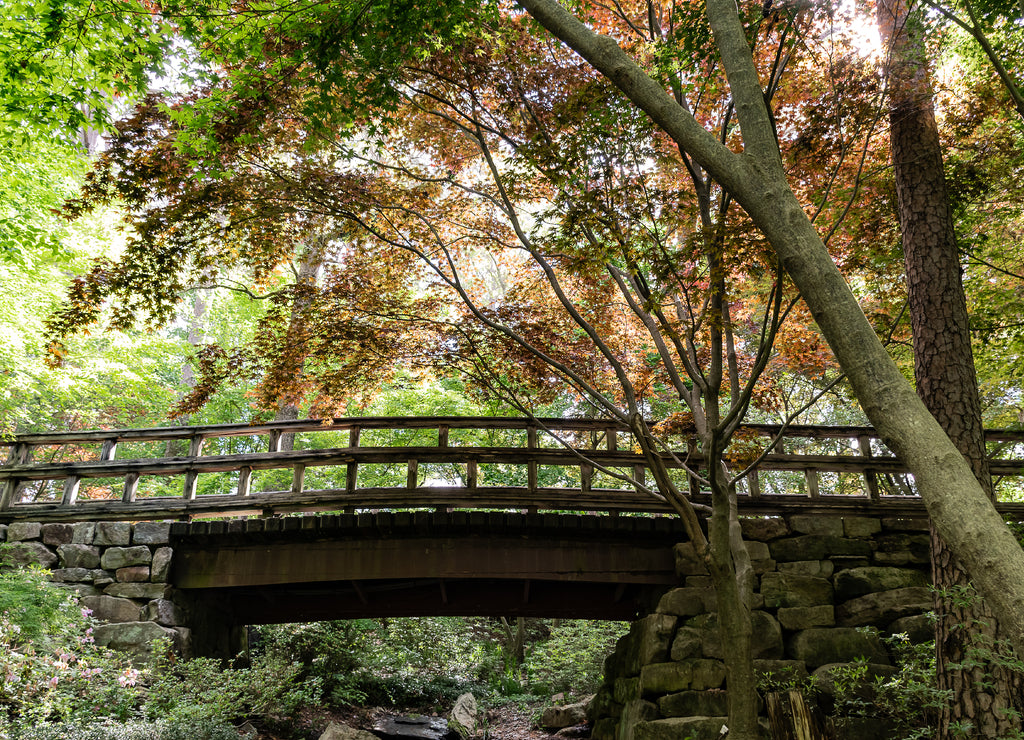 Stone bridge in Hot Springs, Arkansas USA
