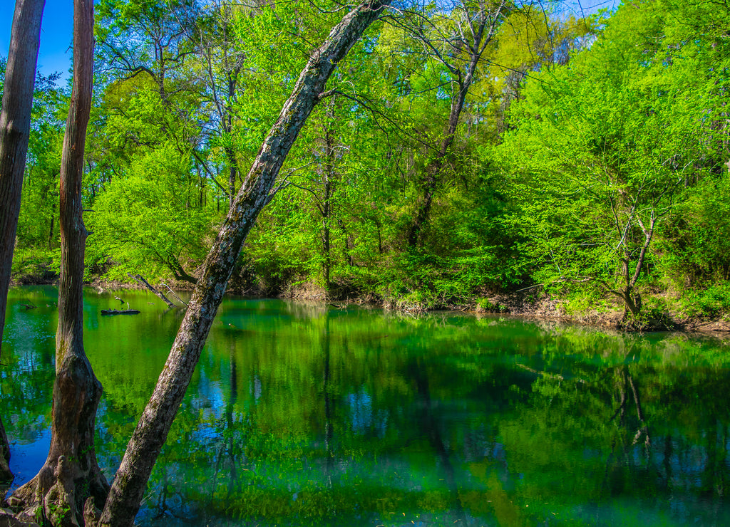Pinnacle Mountain in Little Rock, Arkansas