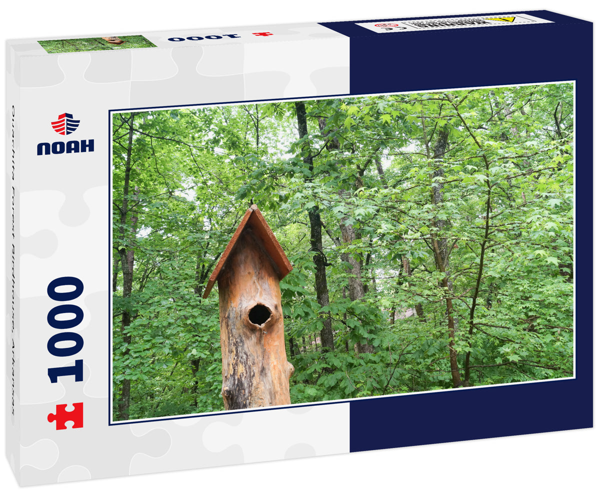 Ouachita Forest Birdhouse, Arkansas