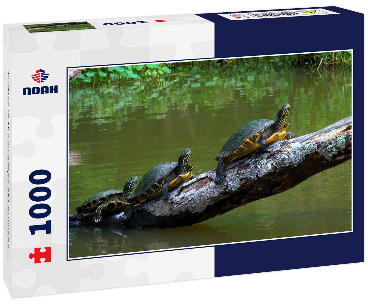 Turtles in the swamps of Louisiana