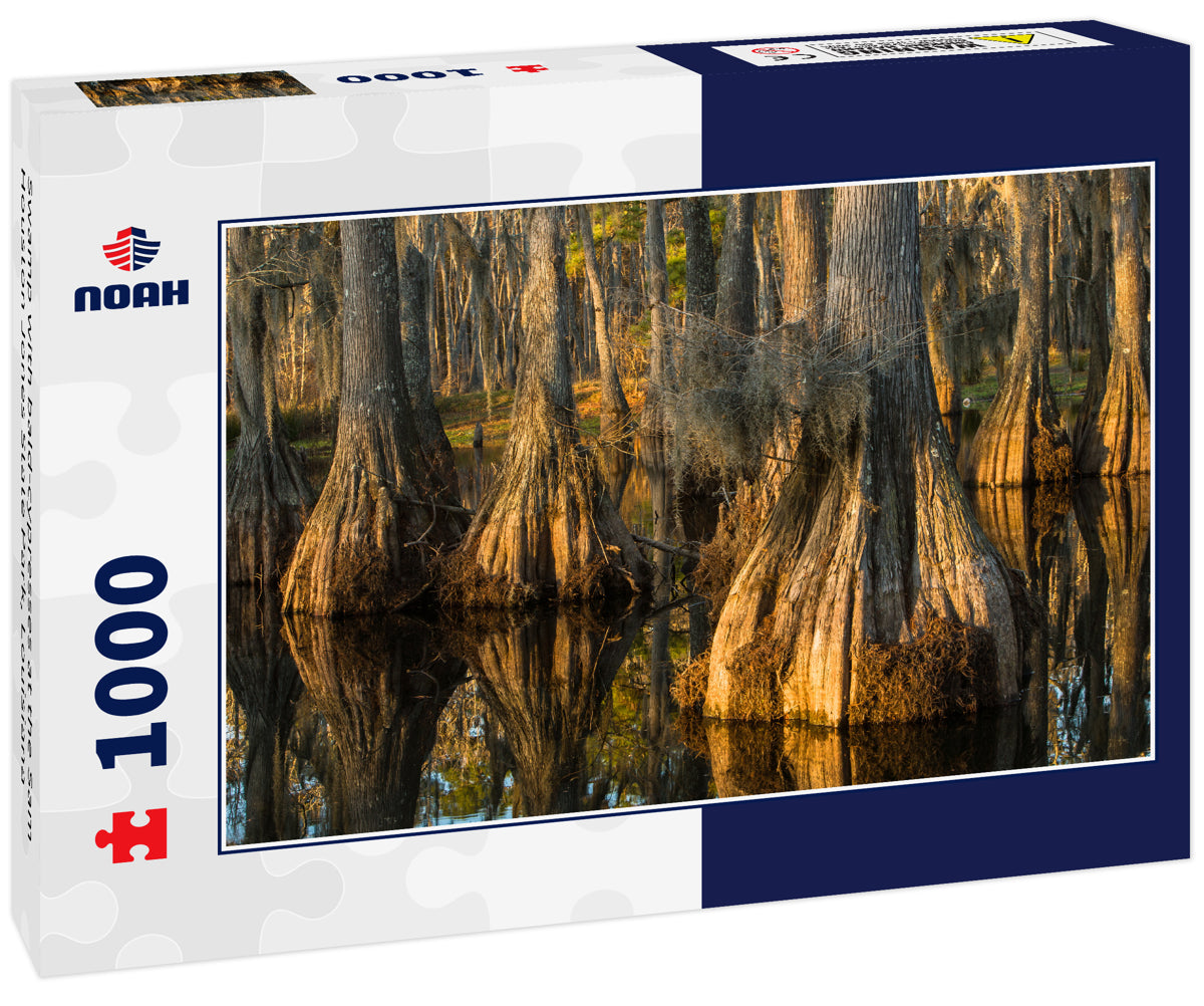 Swamp with bald-cypresses at the Sam Houston Jones State Park, Louisiana