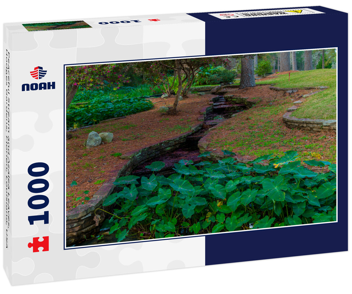 Peaceful Stream and Azalea Leaves, Hodges Gardens, Florien, Louisiana, USA