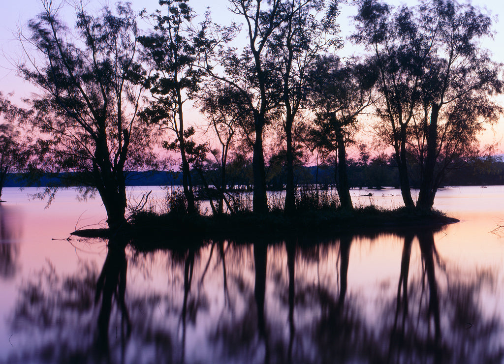 Sunset over wildlife refuge of Lake Fausse Pointe State Park, Louisiana