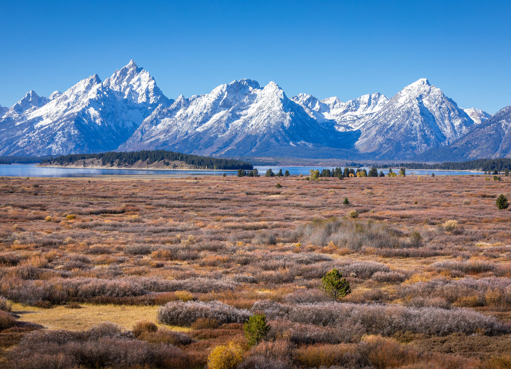 Snow cover peak of Grand Teton and Mount Moran, Wyoming