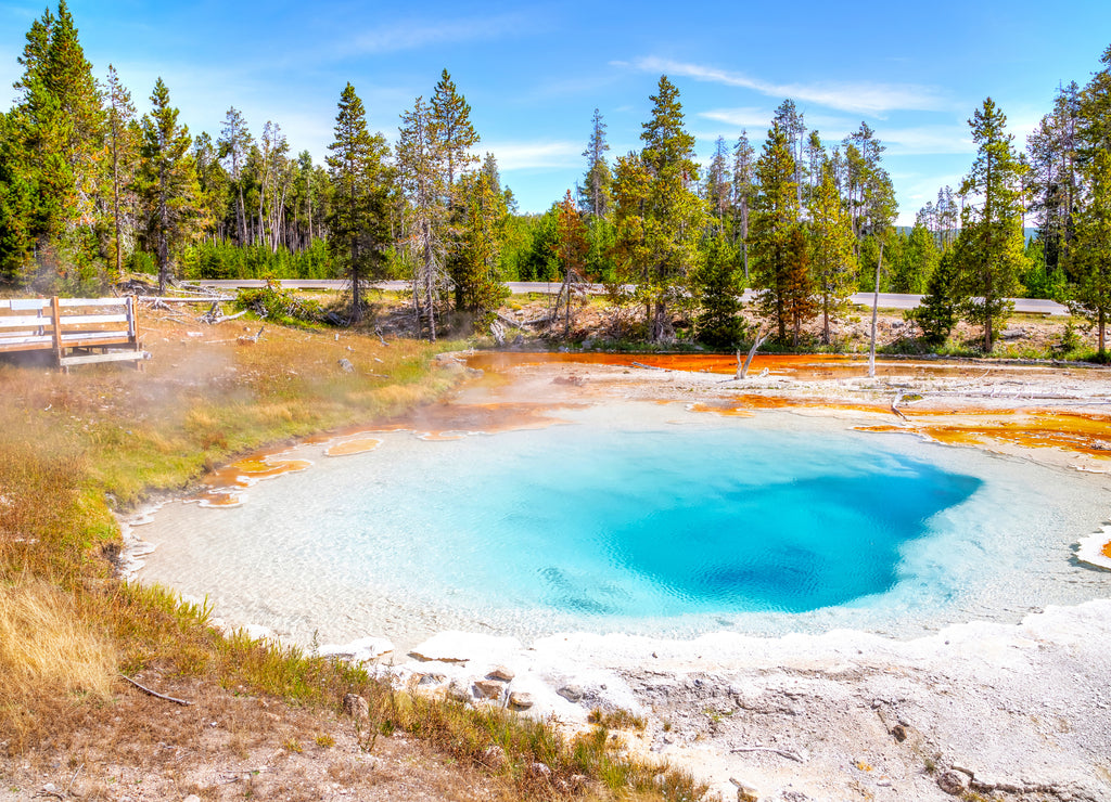 Silex Spring in the Lower Geyser Basin of Yellowstone National Park, Wyoming