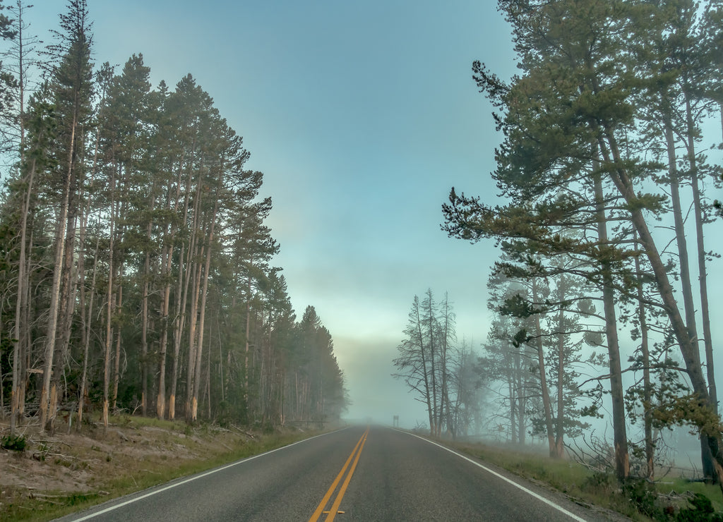 Hayden Valley, Yellowstone National Park, Wyoming