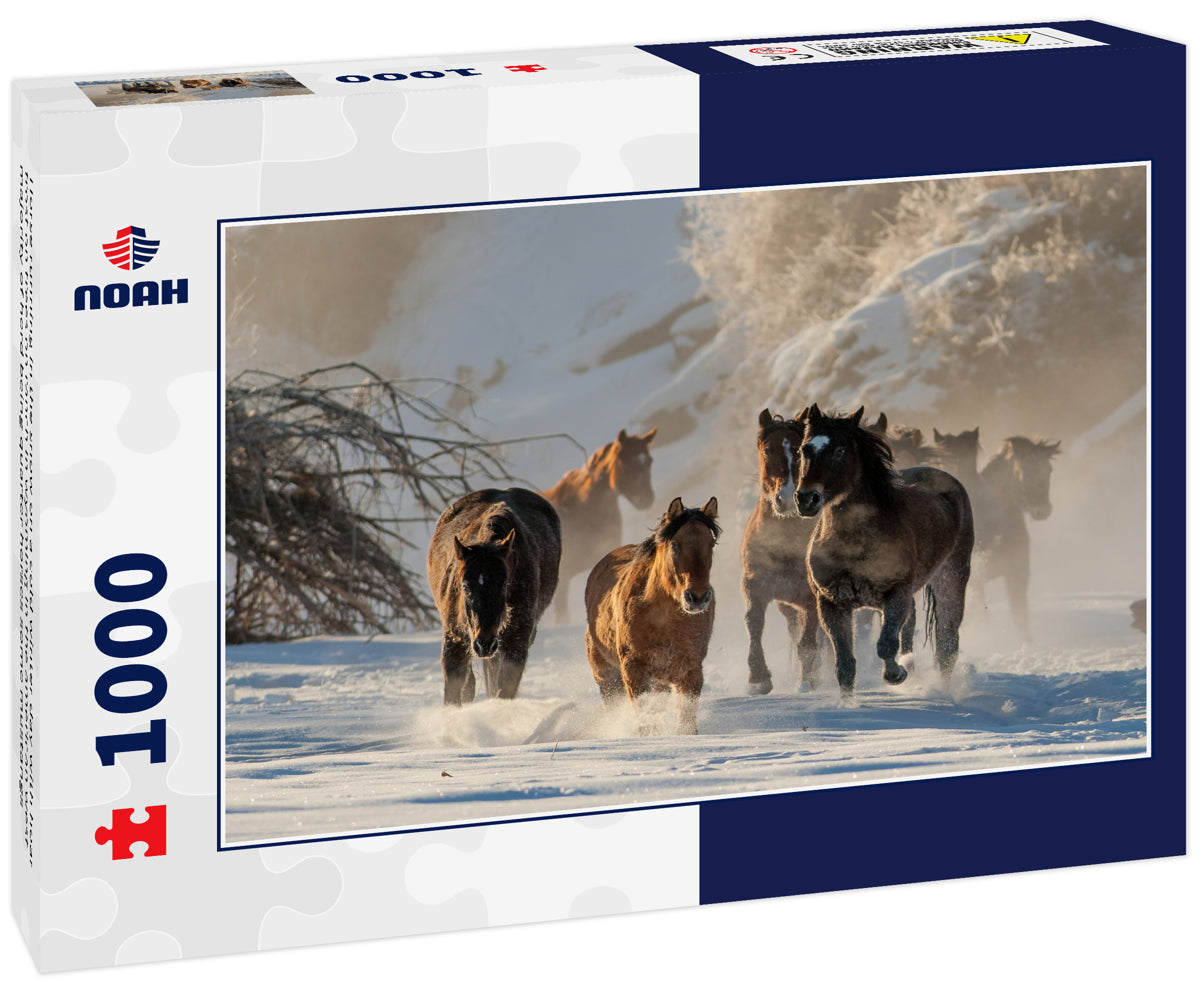 Horse running in the snow on a cold winter day with hoar frost on trees on ranch in wyoming in the american west majority of herd being quarter horses some mustangs