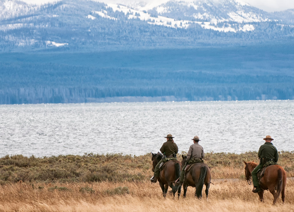 National Park rangers checking things out along Lake Yellowstone; Yellowstone National Park; Wyoming