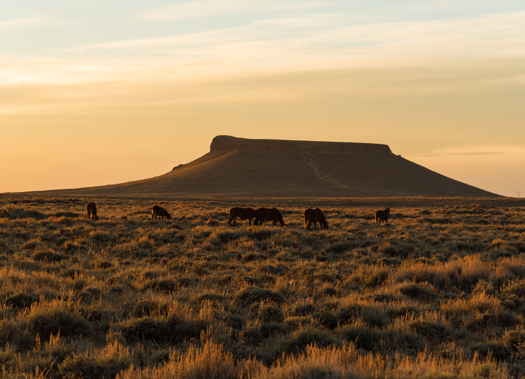 Wild Horse Scenic Loop near Rock Springs, Wyoming