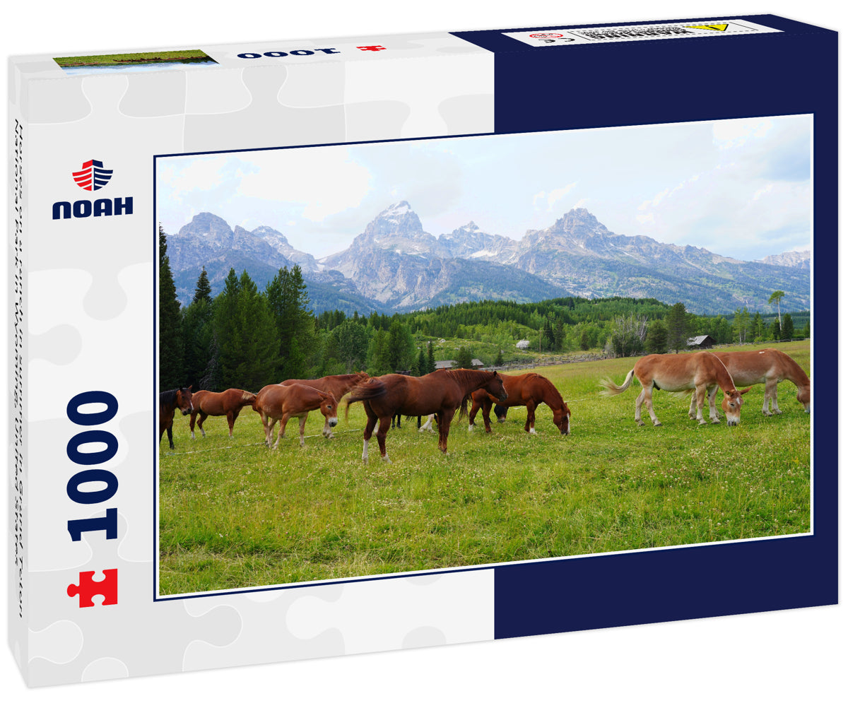 Horses on a ranch in summer in Grand Teton National Park in Wyoming, United States