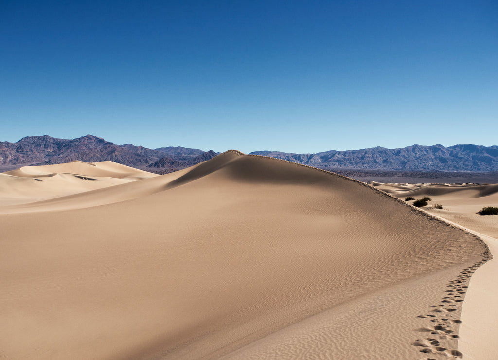 Scenic view of desert, Grand Teton National Park, Wyoming, USA