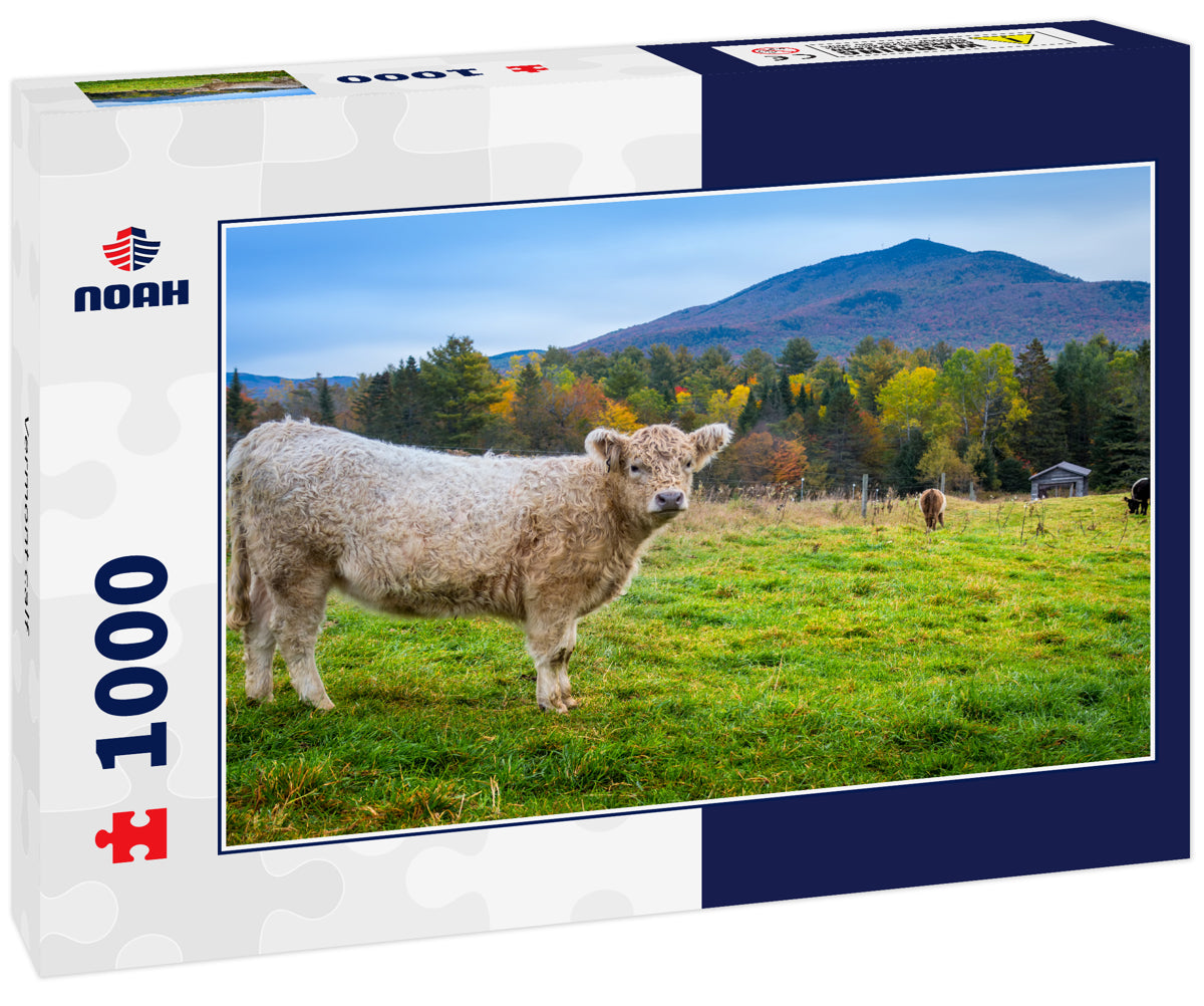 Vermont calf
