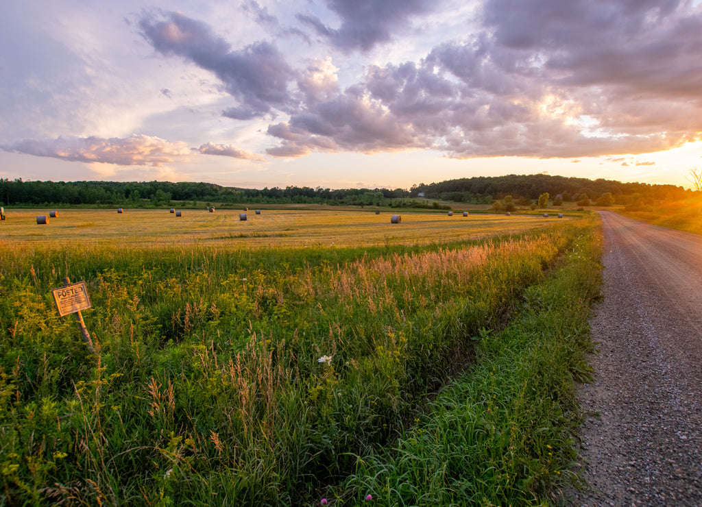 Vermont field at sunset