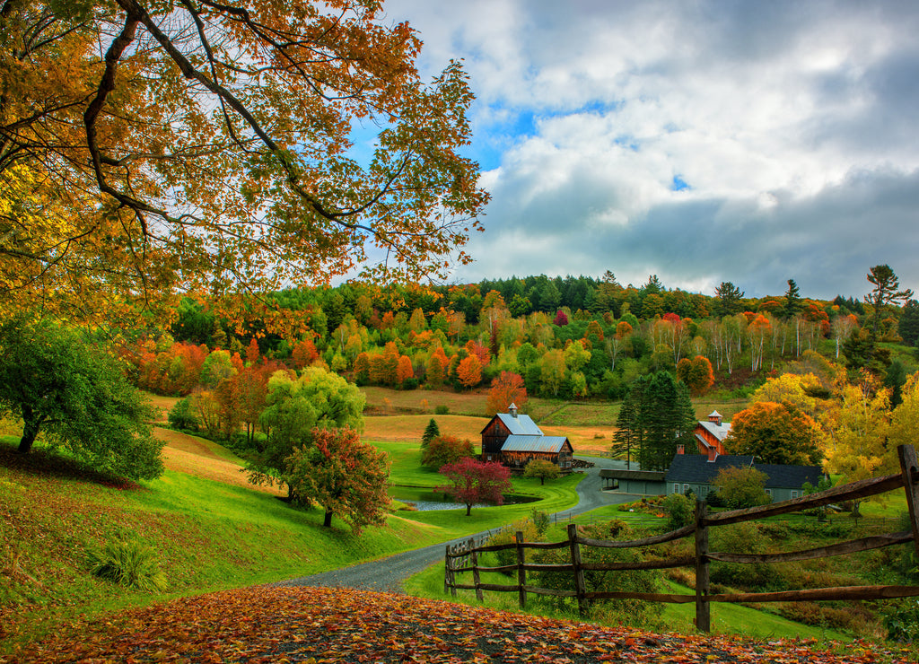 The Colors of Fall_Sleepy Hollow, Vermont