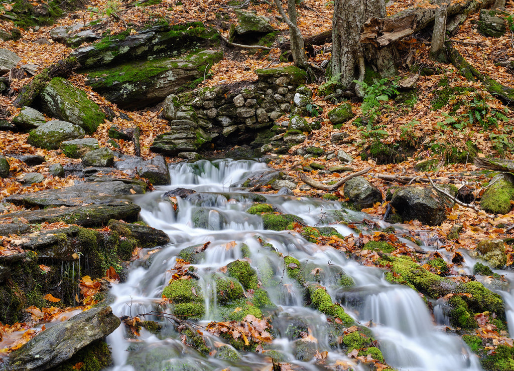 Mossy and leaf filled brooks and stream during the autumn and fall colors of Mt Mansfield area near Stowe Vermont