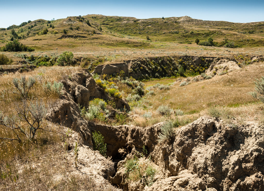 Theodore Roosevelt Nat'l Park, North Dakota