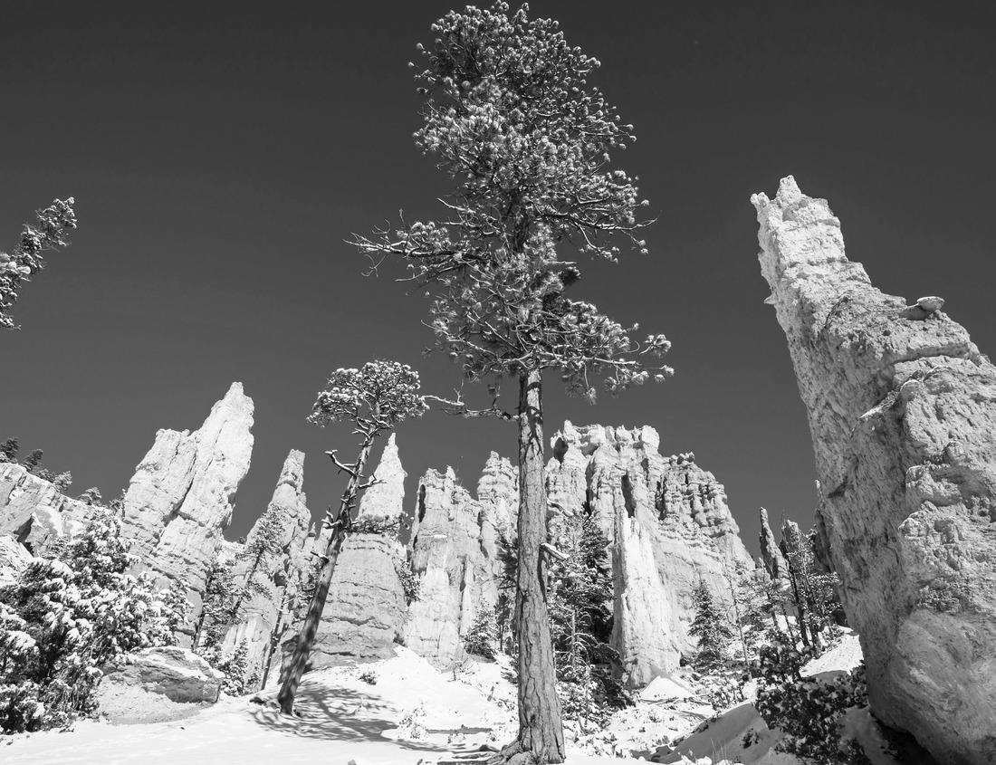 Noah Jigsaw Puzzle A pusher boat in the Mississippi River near the Vicksburg Bridge in Vicksburg, Mississippi, USA in black white 1000 pieces