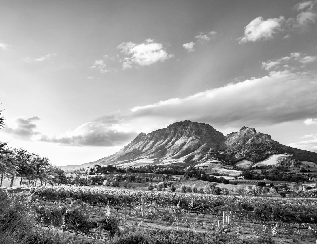 Noah Jigsaw Puzzle Hot Water Cascade, Hot Springs National Park in black white 1000 pieces