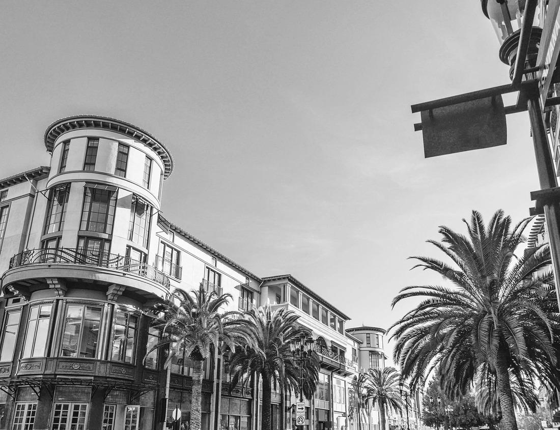 Noah Jigsaw Puzzle Mt. Fuji, Japan and river in Spring in black white 1000 pieces