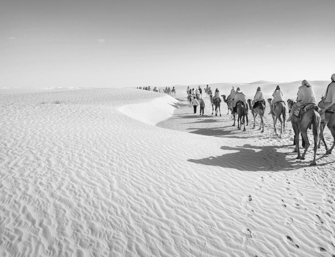 Noah Jigsaw Puzzle Henningsvaer, Lofoten in black white 1000 pieces