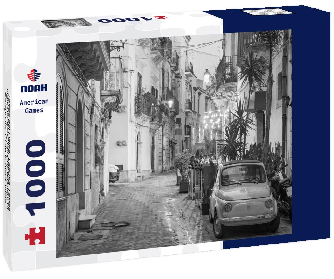 Noah Jigsaw Puzzle Torres del Paine, Laguna Torres National Park, famous emblem of Patagonia, Chile in black white 1000 pieces