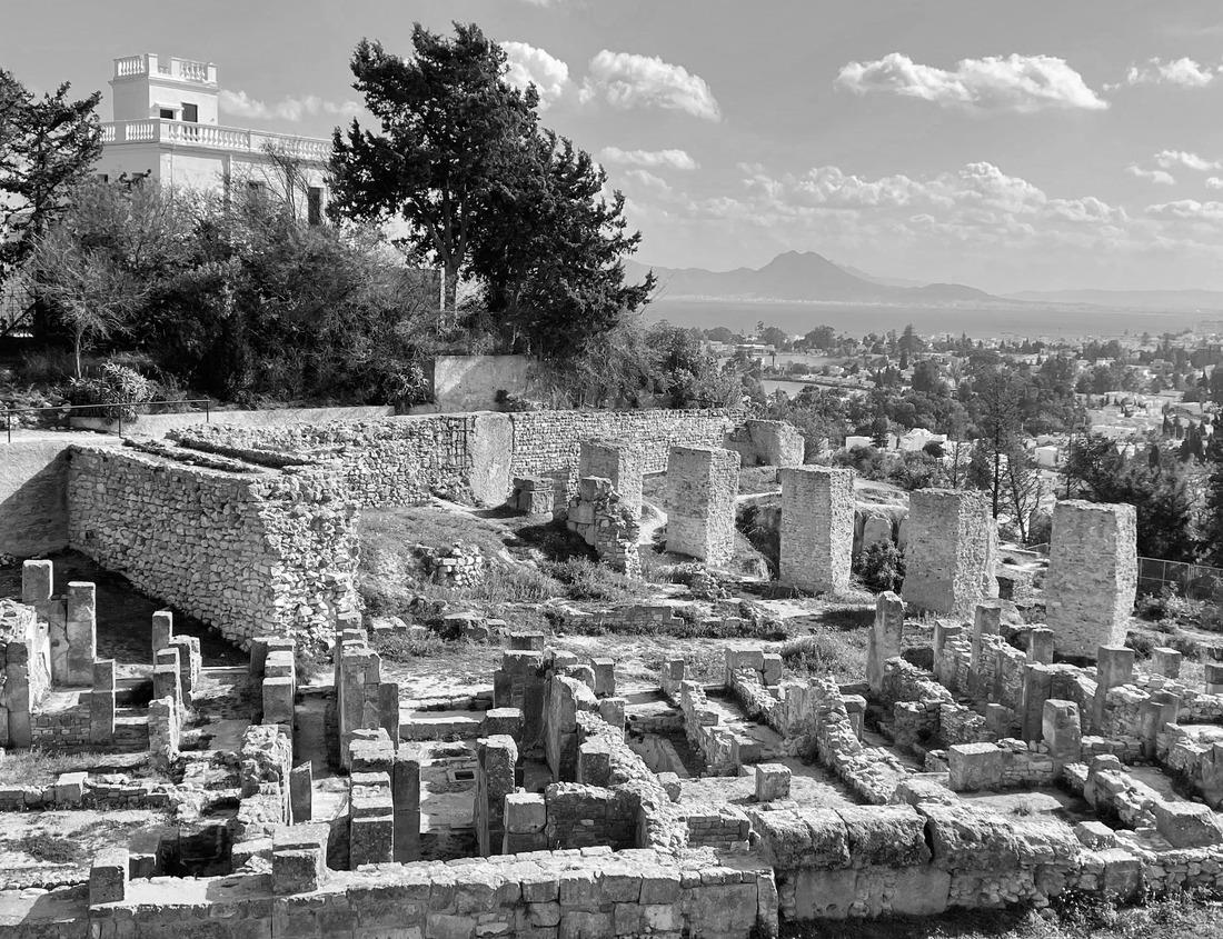 Noah Jigsaw Puzzle Fanny African penguin on the beach. Boulders Penguin Colony National Park, South Africa in black white 1000 pieces