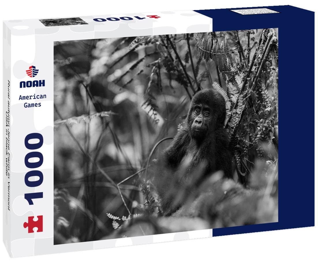 Noah Jigsaw Puzzle Rural autumn Jenne Farm in Vermont, USA in black white 1000 pieces