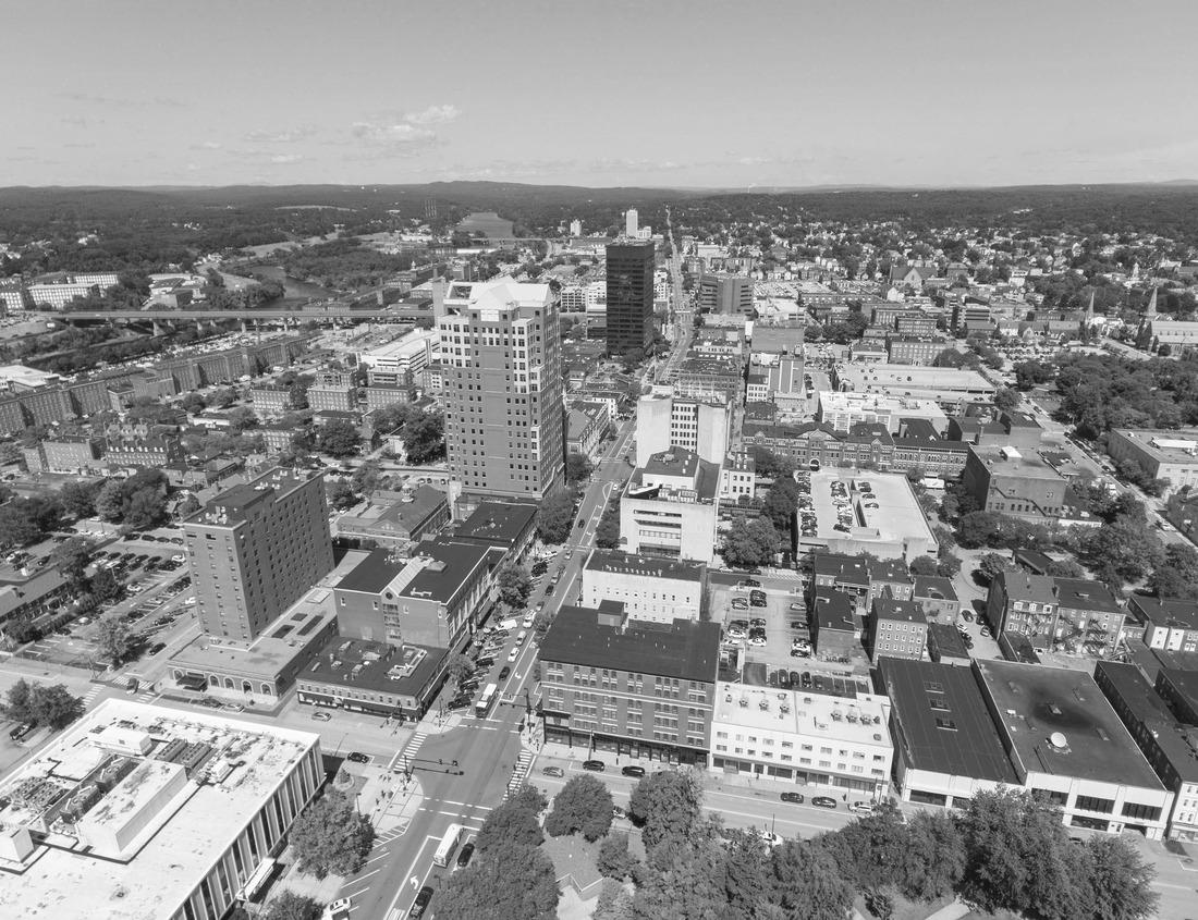Noah Jigsaw Puzzle Georgia State Capitol Building in Atlanta, Georgia, USA in black white 1000 pieces