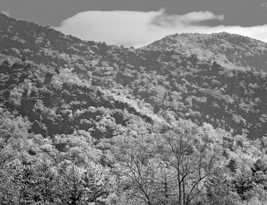 Noah Jigsaw Puzzle Chateau de Chambord, the largest castle in the Loire Valley. A UNESCO world heritage site in France. Built in the XVI century, it is now a property of the French state in black white 1000 pieces