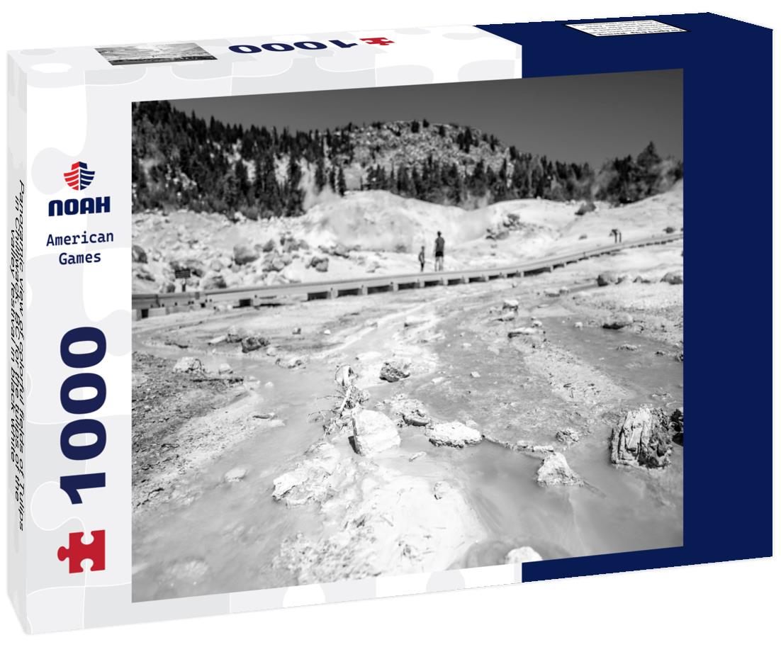 Noah Jigsaw Puzzle Panoramic view of colorful fields of Tulips in Chilliwack, BC for the tulips of the valley festival in black white 1000 pieces