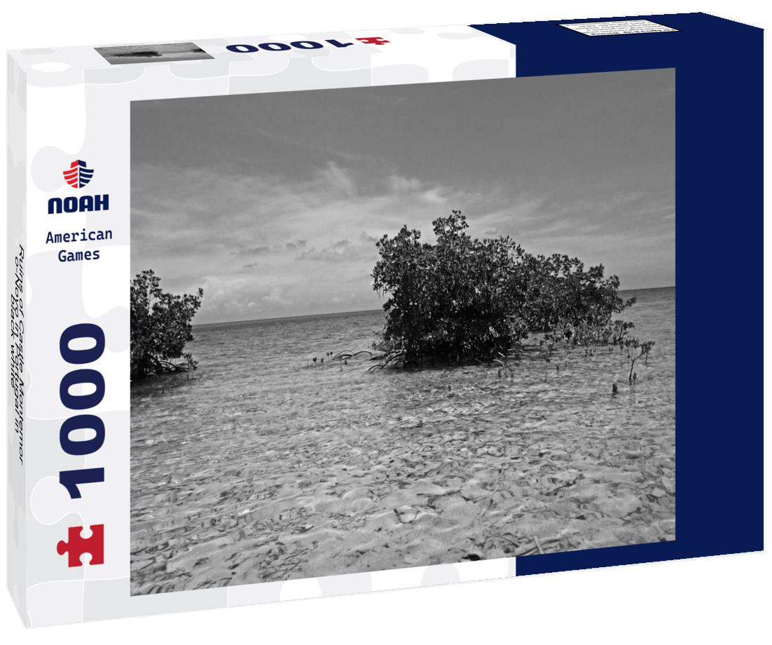 Noah Jigsaw Puzzle Ruins of Castle Montemor-o-Novo in Portugal in black white 1000 pieces