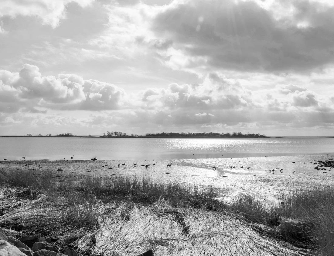 Noah Jigsaw Puzzle A lighthouse in Baddeck in Cape Breton, Nova Scotia, Canada in black white 1000 pieces