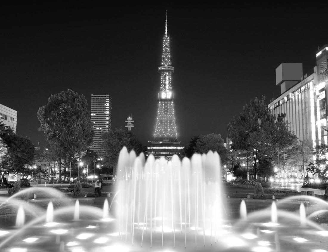 Noah Jigsaw Puzzle Lynn Canyon Vancouver in black white 1000 pieces