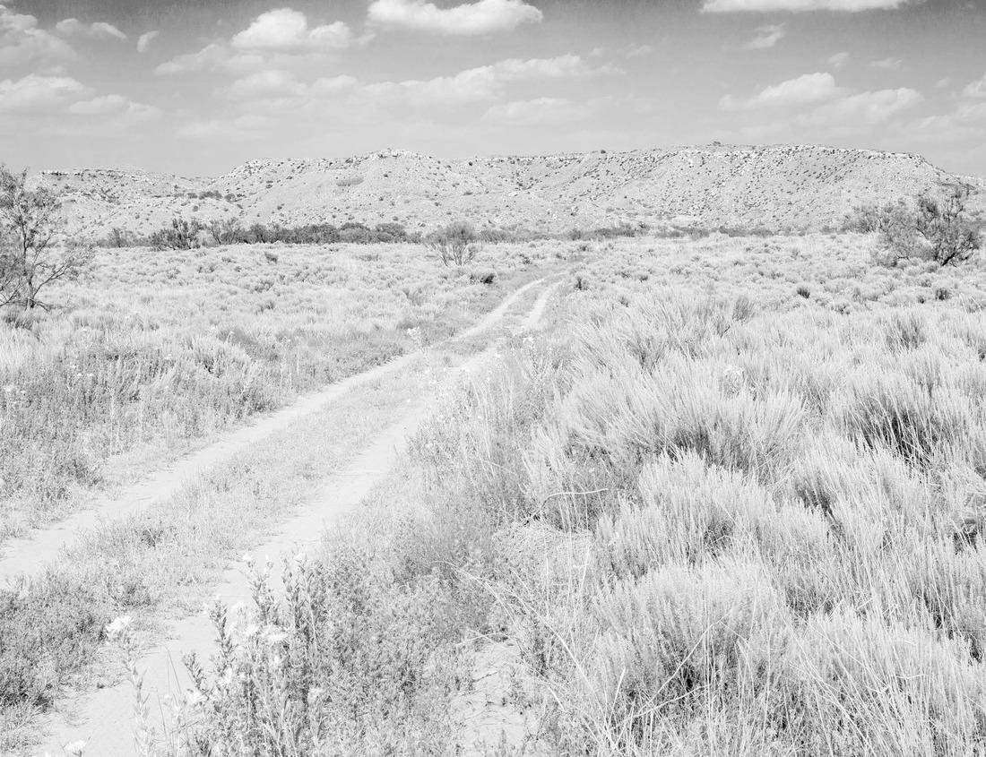 Noah Jigsaw Puzzle Memphis, Tennessee, USA downtown skyline at dusk in black white 1000 pieces