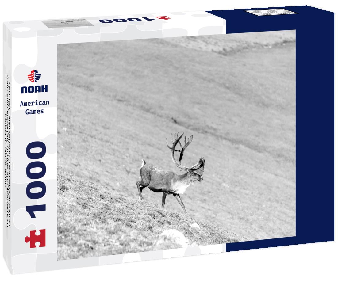 Noah Jigsaw Puzzle Zermatt, Switzerland. Gornergrat tourist train with waterfall, bridge and Matterhorn. Valais in black white 1000 pieces