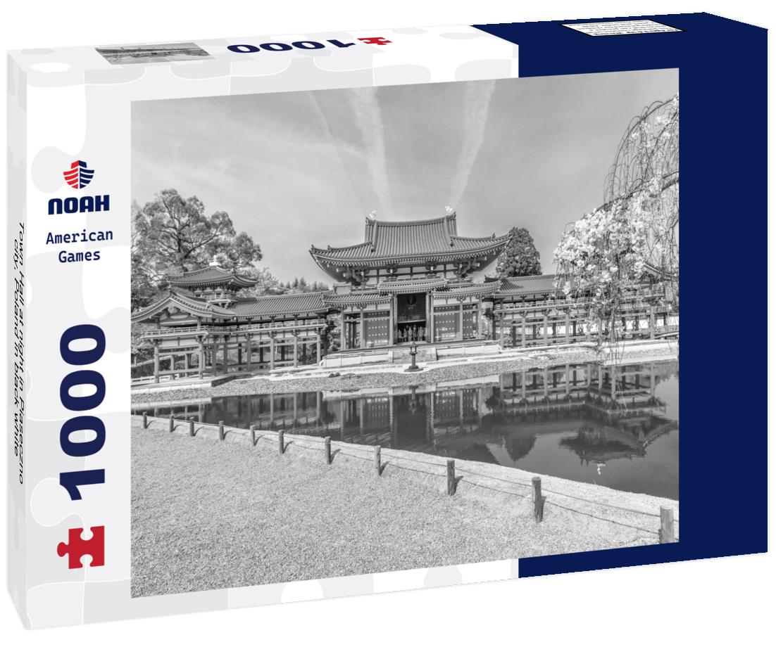 Noah Jigsaw Puzzle Town Hall at night in Piaseczno city, Poland in black white 1000 pieces