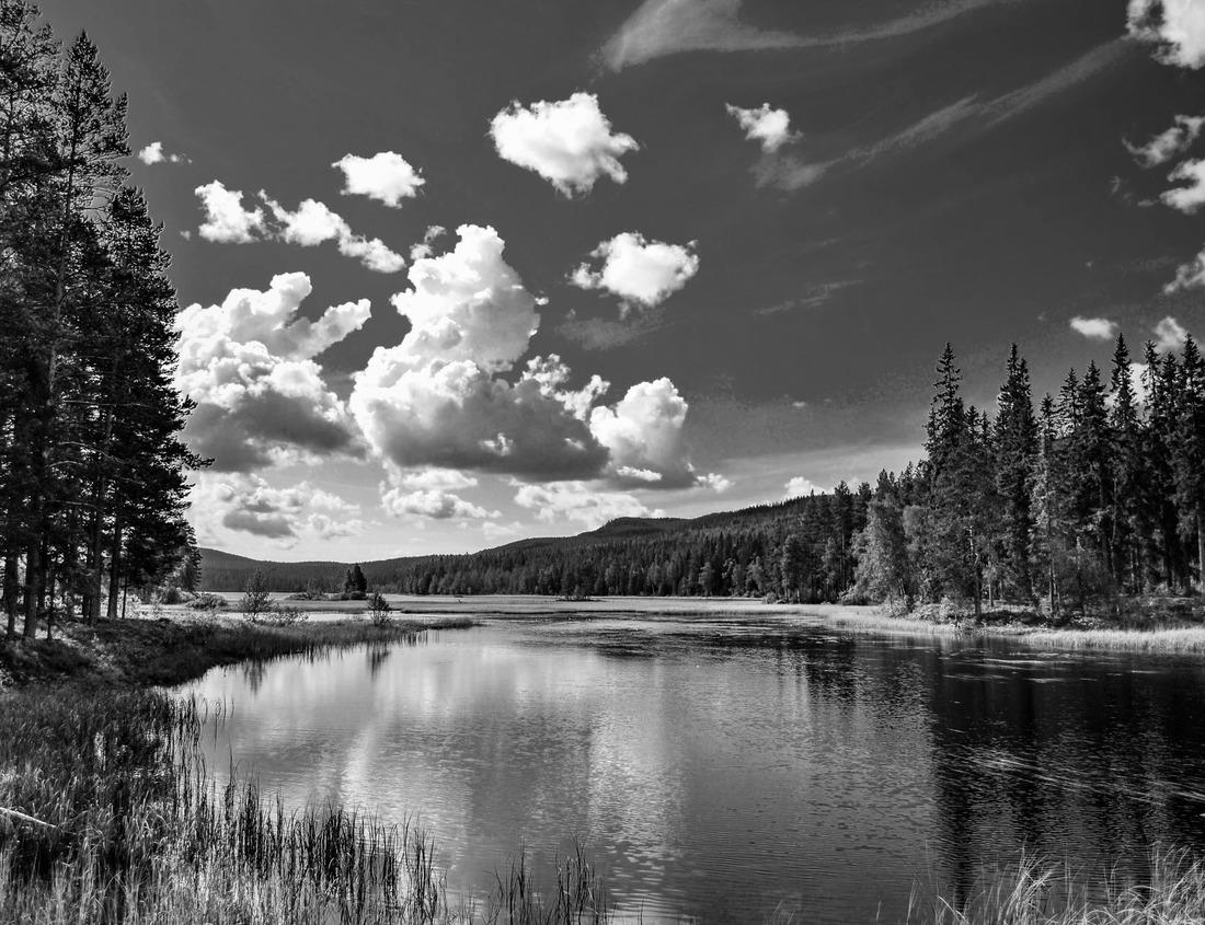 Noah Jigsaw Puzzle Brussels, rainbow over Grand Place, Belgium in black white 1000 pieces