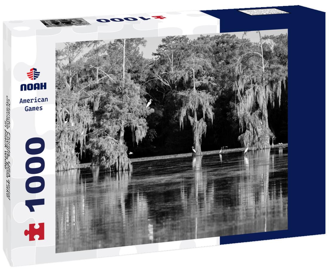 Noah Jigsaw Puzzle Orlando, Florida, USA aerial cityscape towards Eola Lake in black white 1000 pieces