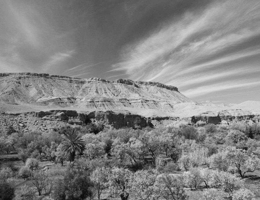 Noah Jigsaw Puzzle Blue waters and tree covered rocks jutting out of water on a cloudy morning at Porcupine bay at Kenai Fjords National Park, Alaska in black white 1000 pieces