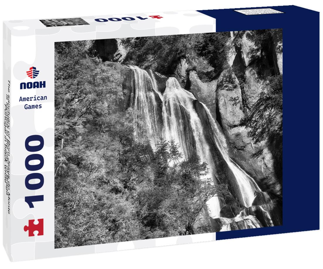 Noah Jigsaw Puzzle The sanctuary of Bom Jesus do Monte is located in the city of Braga, Portugal in black white 1000 pieces