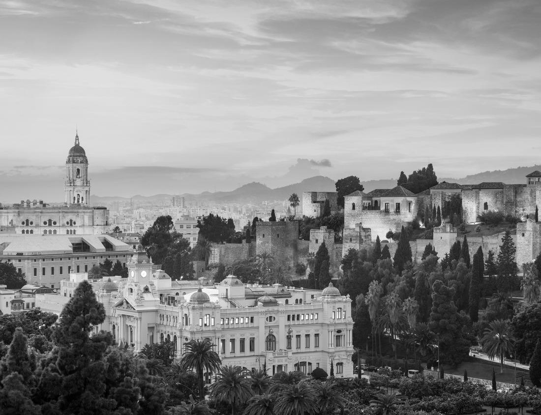 Noah Jigsaw Puzzle Dallas, Texas, USA Downtown skyline in black white 1000 pieces