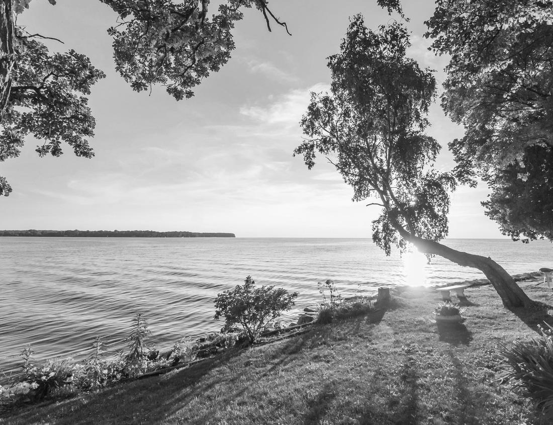 Noah Jigsaw Puzzle Cliff dwellings in Mesa Verde National Parks, Colorado, USA in black white 1000 pieces