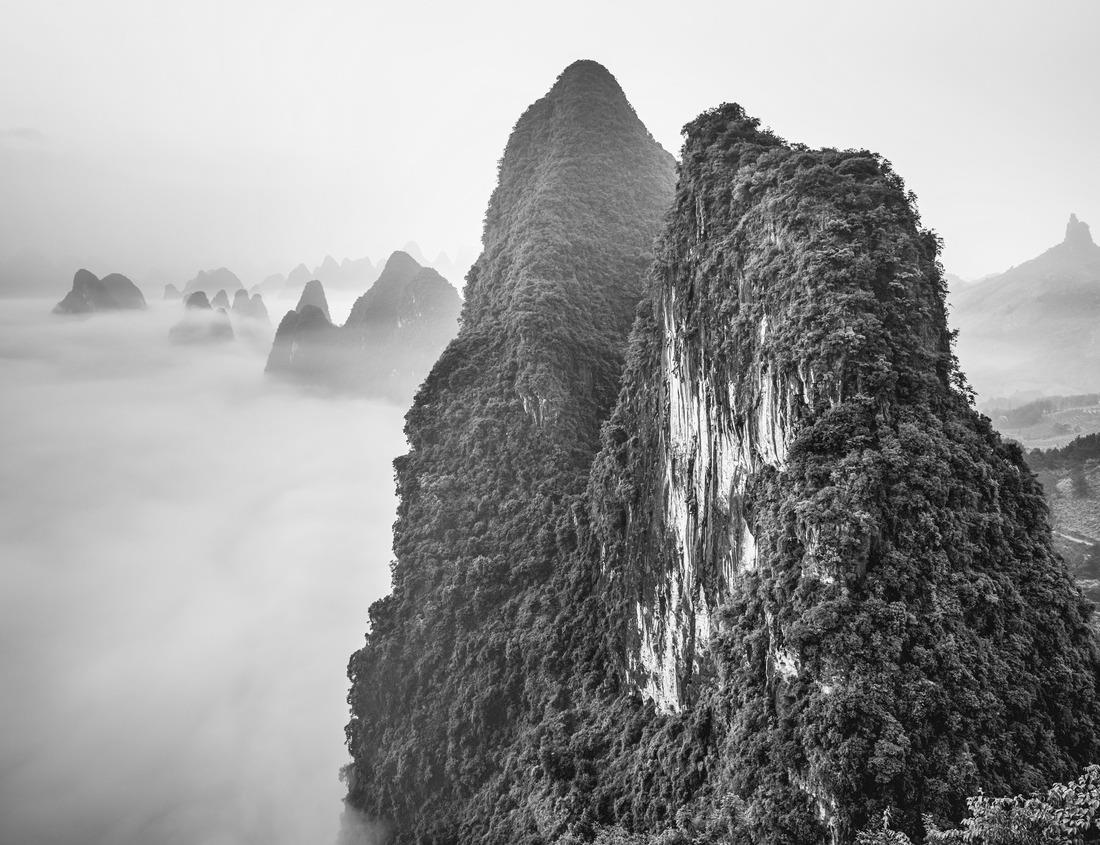 Noah Jigsaw Puzzle Meiji Shrine in Tokyo, Japan in black white 1000 pieces