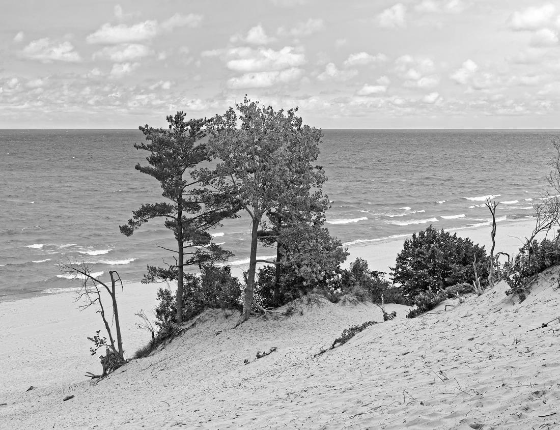 Noah Jigsaw Puzzle Miyajima, Hiroshima, Japan floating gate in black white 1000 pieces