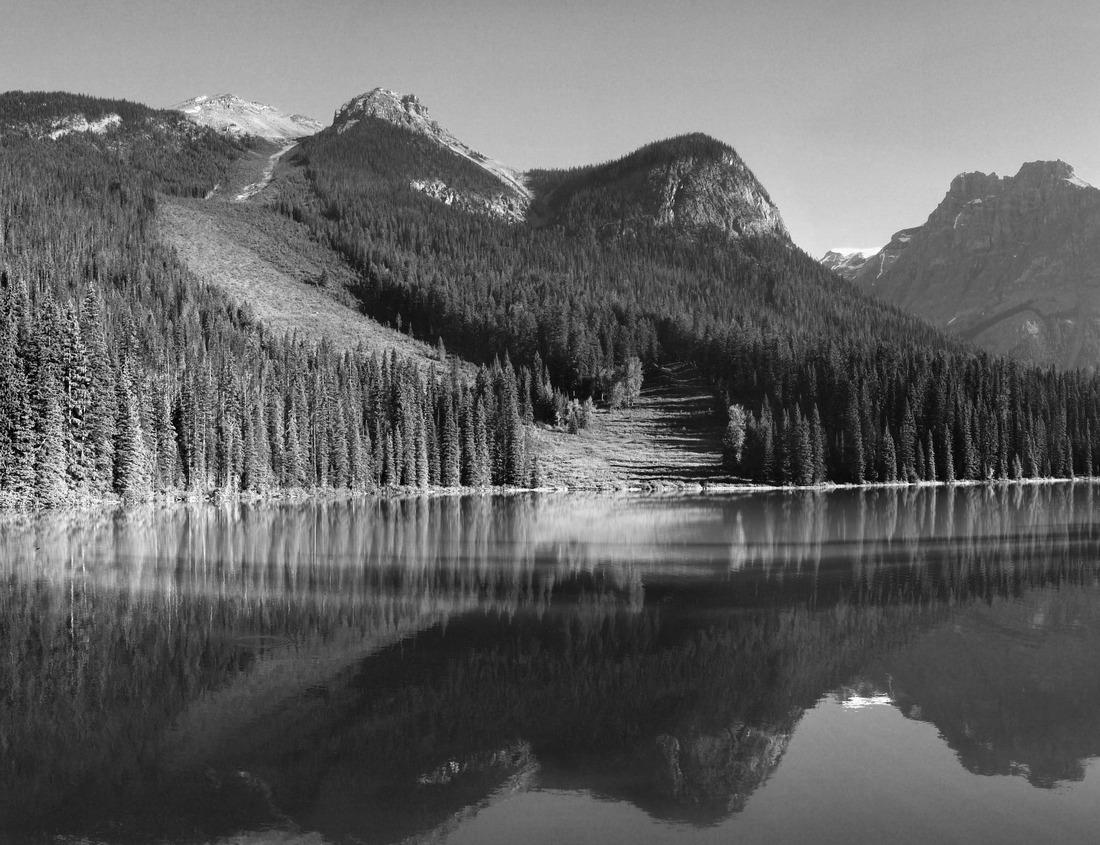 Noah Jigsaw Puzzle A street with old buildings in the center of Lund, Sweden in black white 1000 pieces