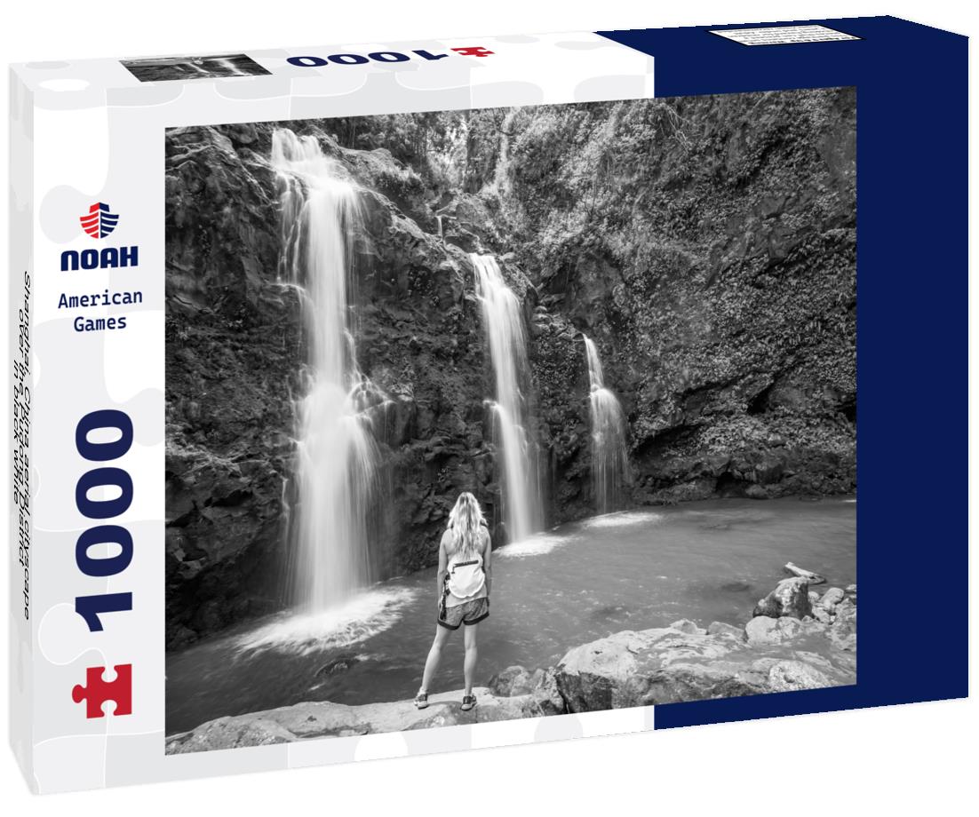 Noah Jigsaw Puzzle Shanghai, China aerial cityscape over the Pudong District in black white 1000 pieces